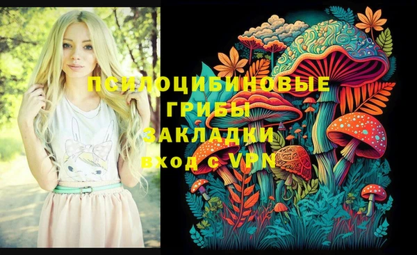 mix Переславль-Залесский